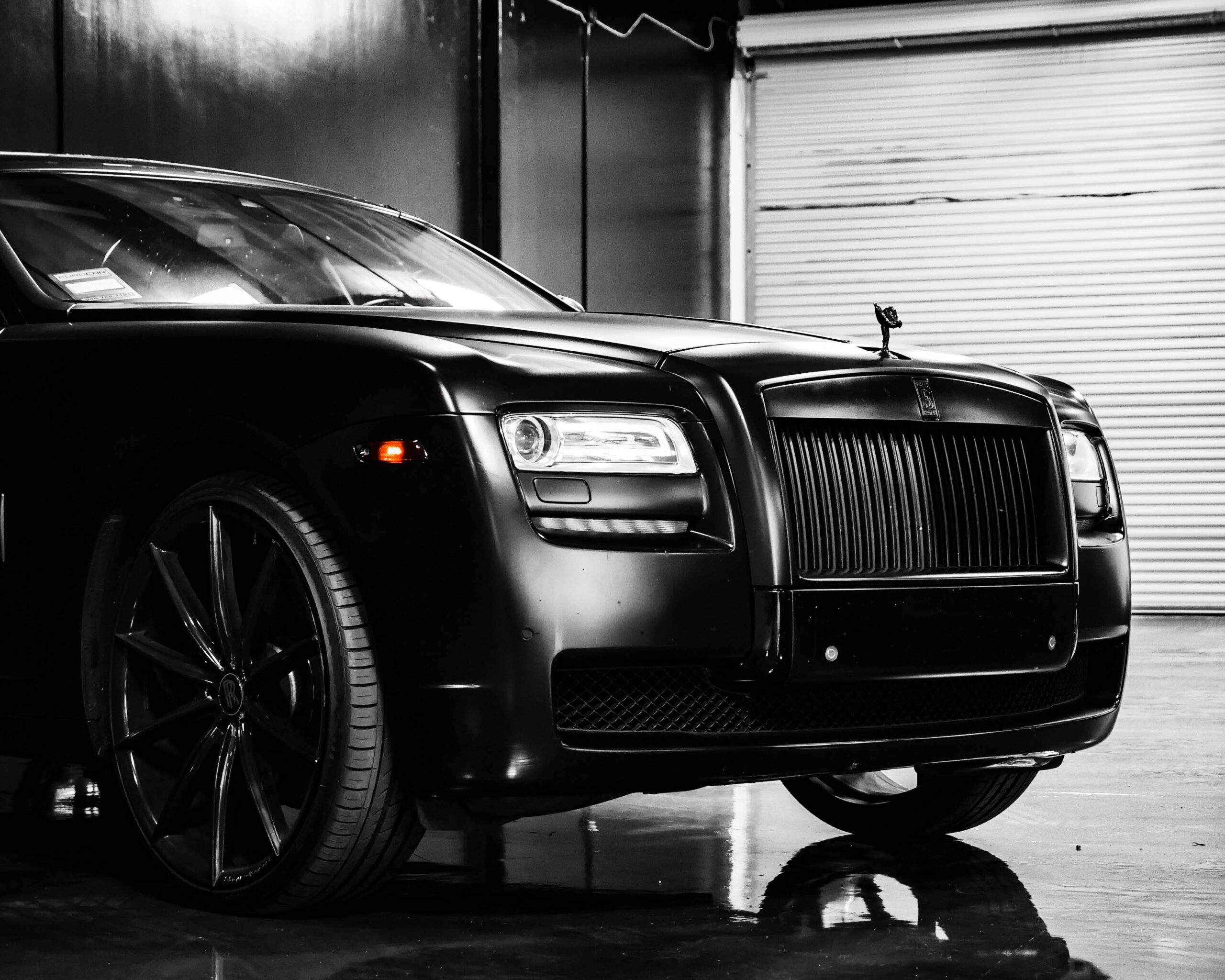 pexels-lynxexotics-4141958